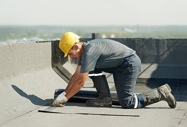 Best Energy Efficiency Solutions in Chapel Hill, TN