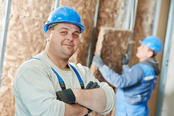 Best Insulation Maintenance and Repair in Chapel Hill, TN