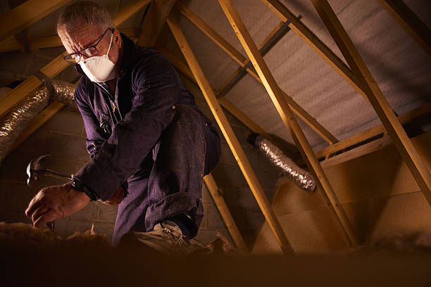 Best Residential Insulation in Chapel Hill, TN